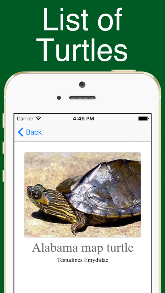 World Turtles! - 1.0.0 - (iOS)