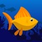 Fish Rush is a new fun arcade game