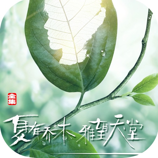 夏有乔木，雅望天堂—都市催泪虐恋小说 icon