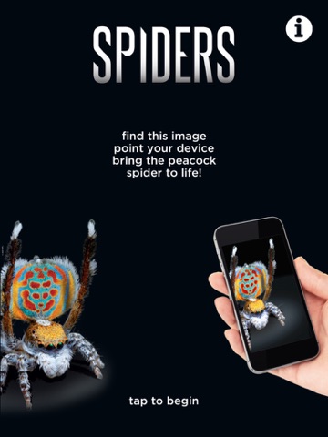 Screenshot #4 pour SPIDERS AR