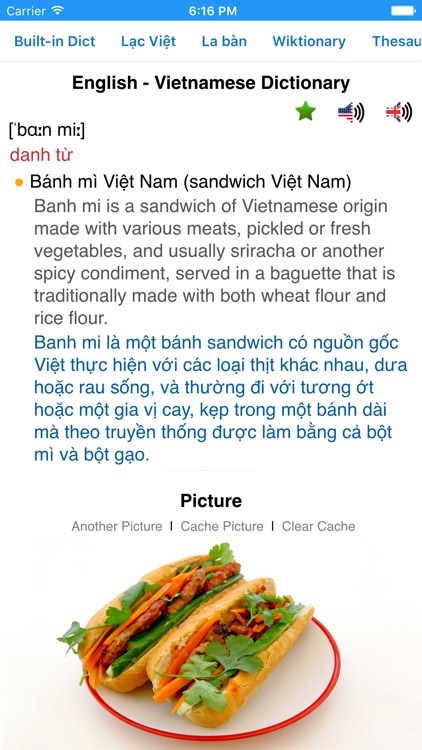 Vietnamese Dictionary screenshot-0