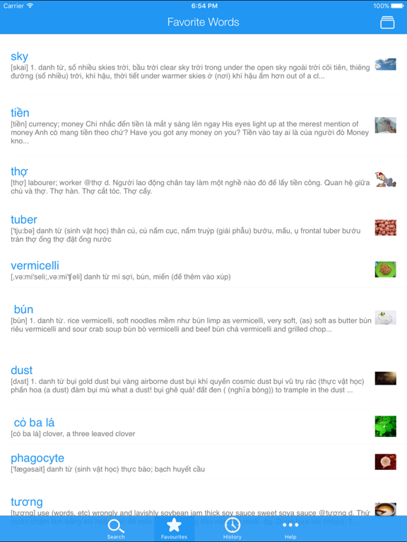 Screenshot #5 pour Vietnamese Dictionary