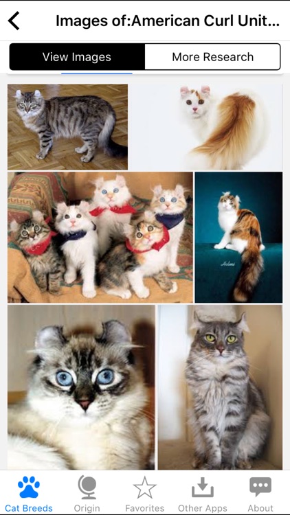 Encyclopedia of Cat Breeds screenshot-3