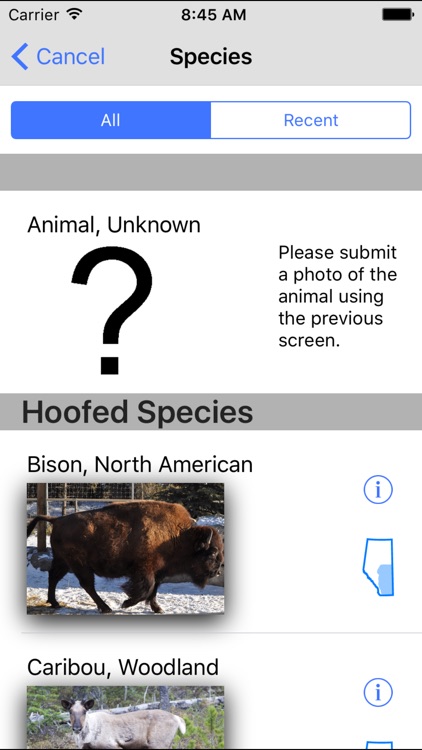 Alberta Wildlife Watch