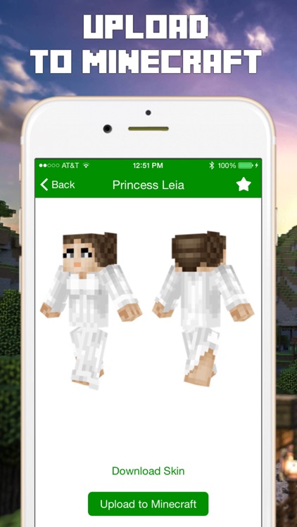 Skins for Minecraft Pocket Edition PE & PC screenshot-3