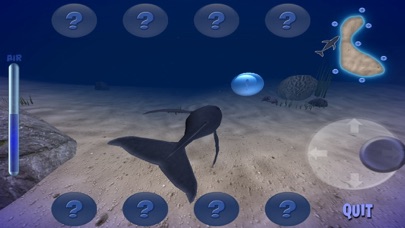 Humpback Whale Screenshot 3