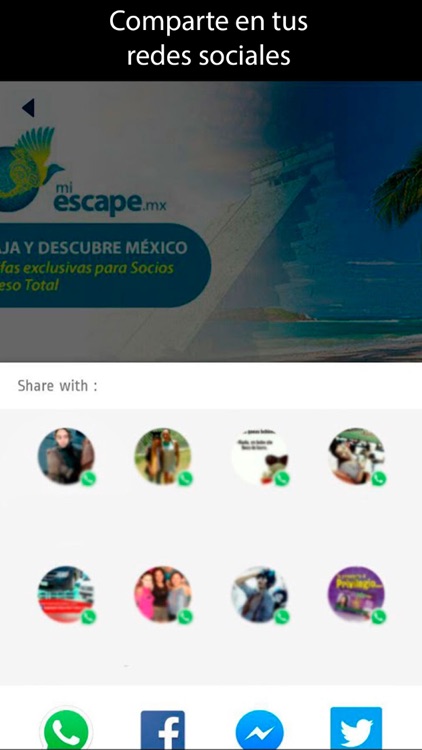 Acceso Total screenshot-4