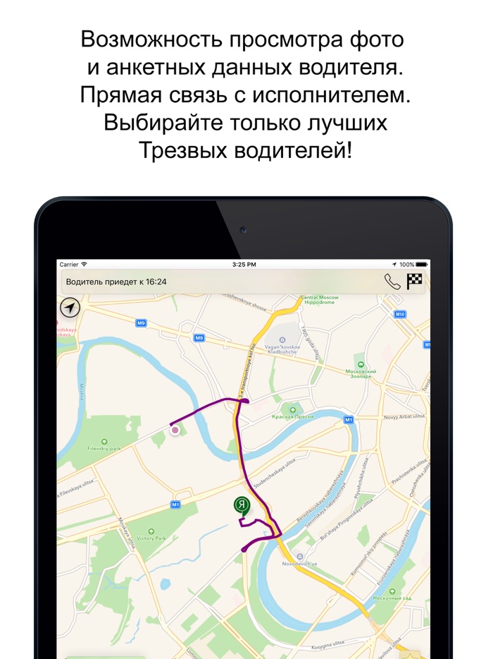 Я - Трезвый водитель