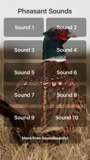 pheasant sounds iphone screenshot 1