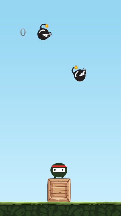 Dizzy Ninja screenshot-3
