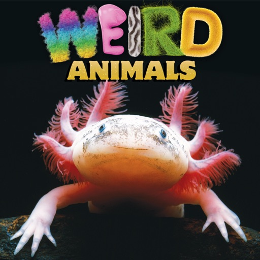 Weird Animals - CLIL Reader by Express Publishing