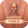 Anatomy for Beginners