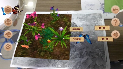 Screenshot #1 pour 探秘昆虫世界