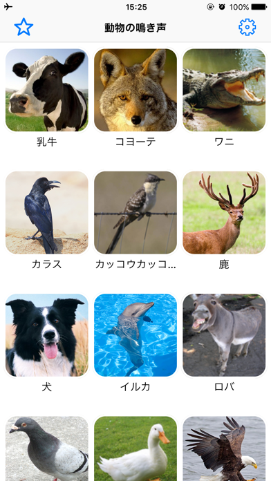 動物叫声音 動物世界獅子大自然界児童教育 By Ganger Cai Ios 日本 Searchman アプリマーケットデータ