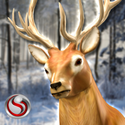 鹿狩猎 - 2015年狙击手3D