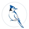 Blue Jay Financial Group