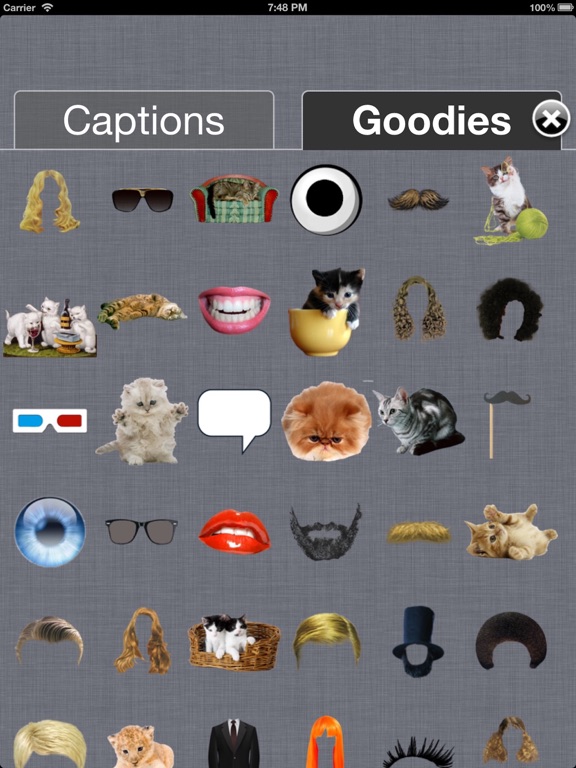 Cat Me! iPad screenshot 2 - Photo & Video app