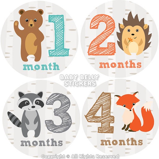 Baby Stickers - Capture Baby Milestones & Stickers for baby photos icon