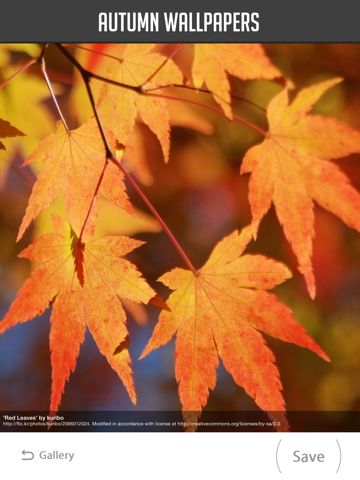 Screenshot #5 pour Autumn Wallpapers