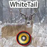 Real Whitetail Hunting Calls & Sounds - Deer App Contact