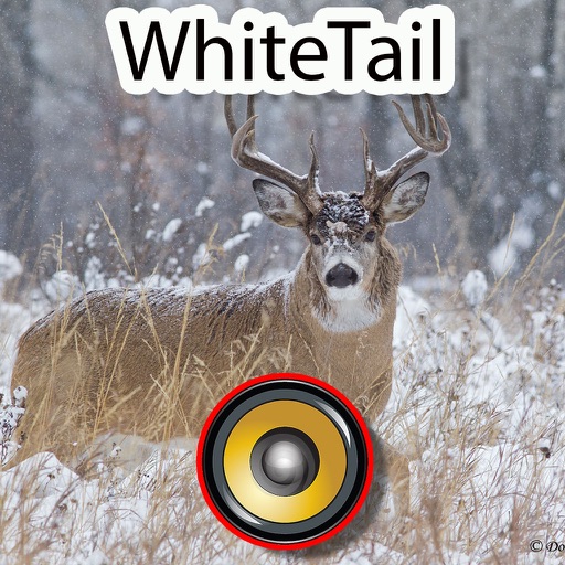 Real Whitetail Hunting Calls & Sounds - Deer icon