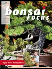 bonsai focus es ipad capturas de pantalla 1