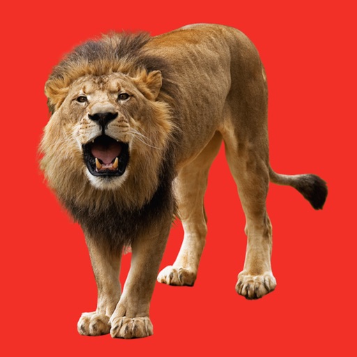 Lion Booth Icon