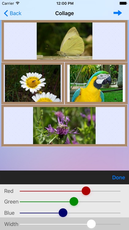 Collage of Photos screenshot-3