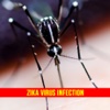 Zika Virus