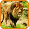 Deadly Wild Lion Last Attack 3D