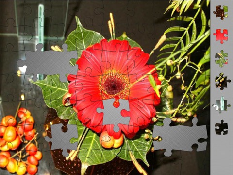Jigsaw Puzzles: Flower Questのおすすめ画像1