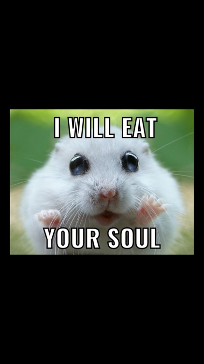 Simple Meme Creator - Memes Face Sticker Generator with Photo Text Editor App screenshot-3