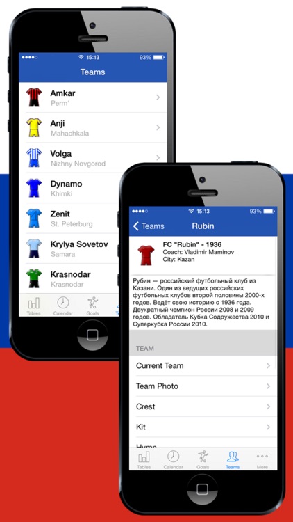 Russian Football History 2012-2013 screenshot-4