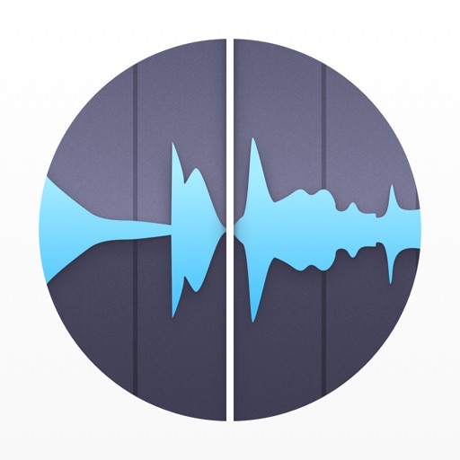 REC - Recorder & Editor Pro icon