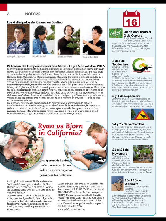 Bonsai Focus ES iPad screenshot 4 - Magazines & Newspapers app