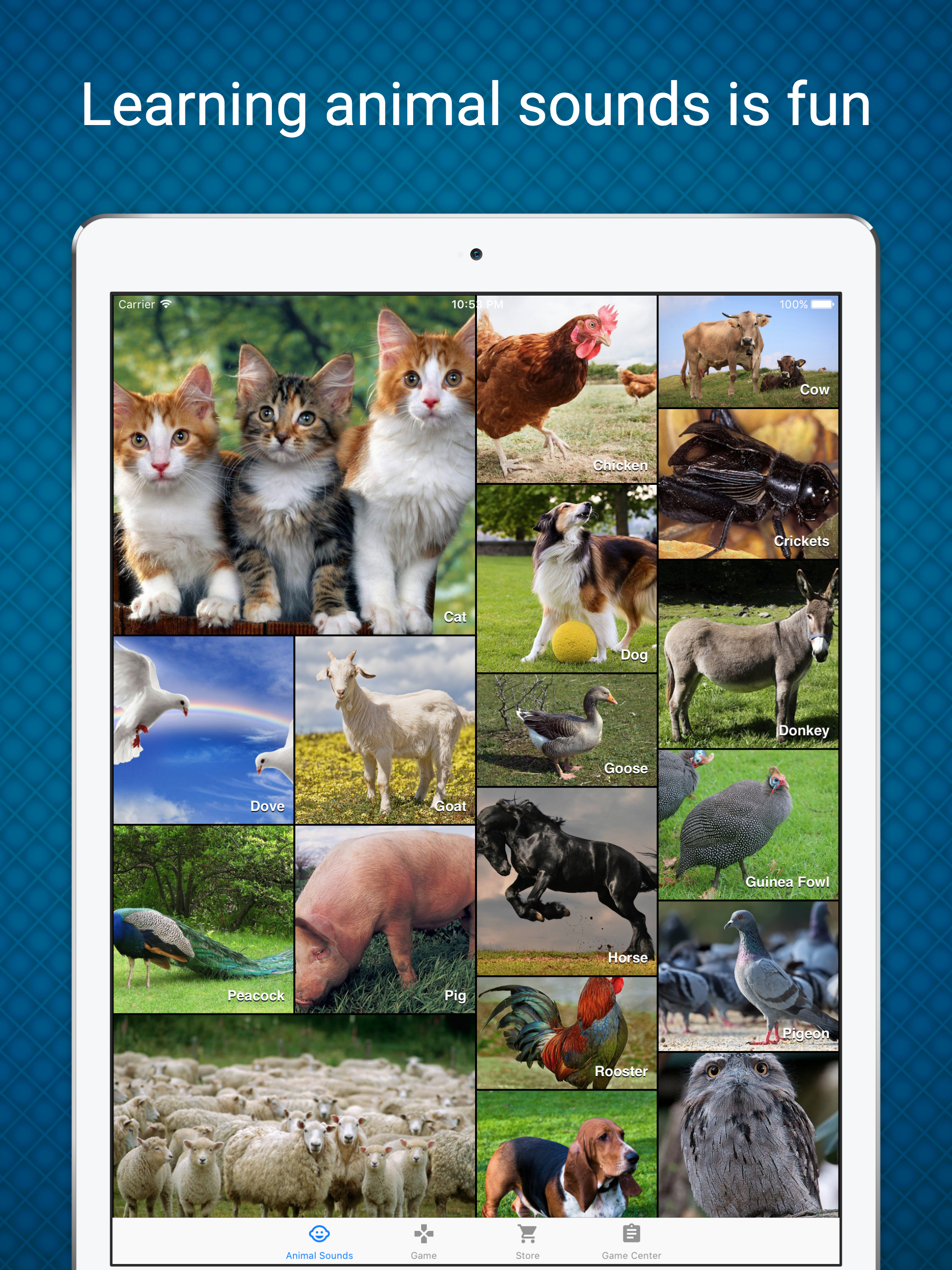 Animal Sounds - Learn & Play in a Fun Way screenshot 7