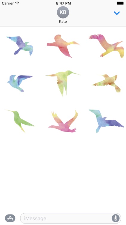 Water Color Bird Stickers