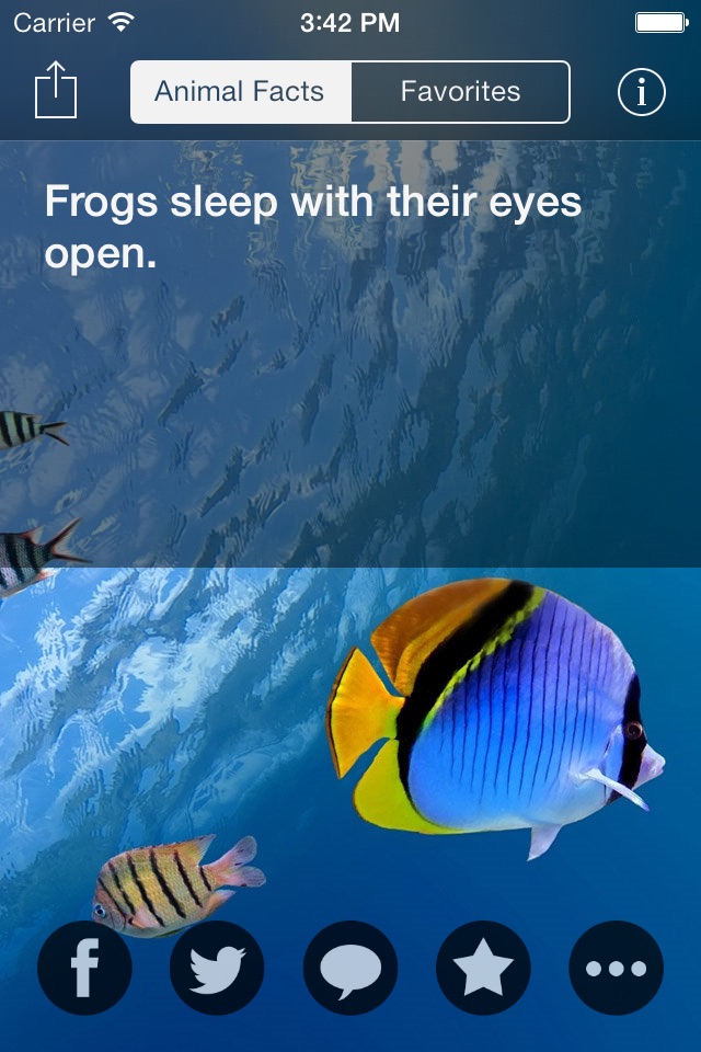 Animal Facts -  Cool Fun Fact for Kids Discovery screenshot 2