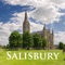 The official Visit Salisbury app offers you an up-to-date and interactive guide to Salisbury, Stonehenge and surrounding areas