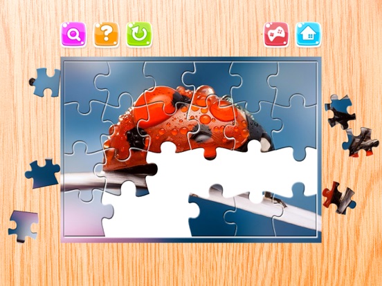 Screenshot #4 pour nature Fleurs et insecte scie à chantourner puzzle