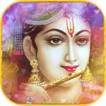 Vishnu Bhagavad Gita -With Audio and Transliterations in Sanskrit & English App Problems