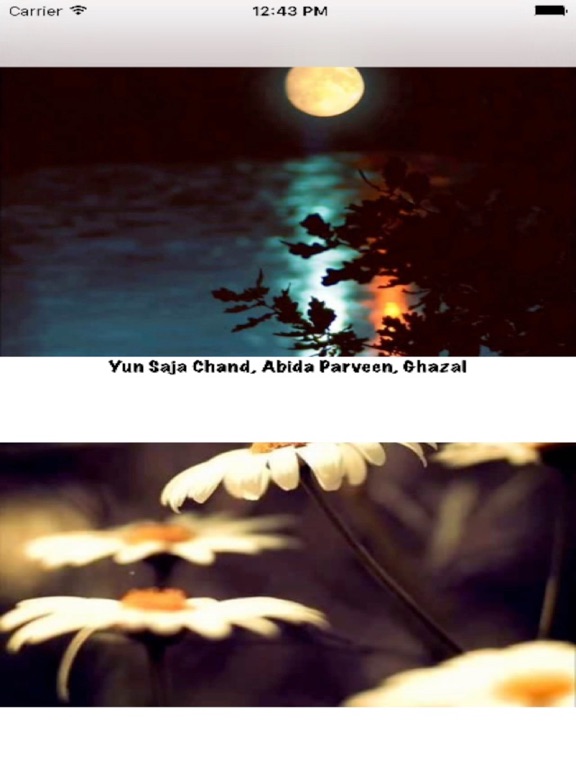 Screenshot #4 pour Hindi Bhajan Songs 2016