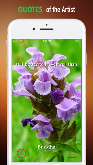 Audubon Wildflowers Wallpapers HD- Quotes and Art(圖4)-速報App