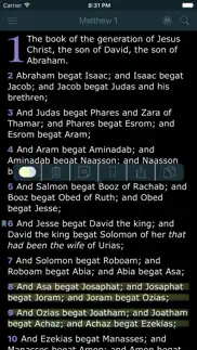 holy bible. new testament. the king james version iphone screenshot 2