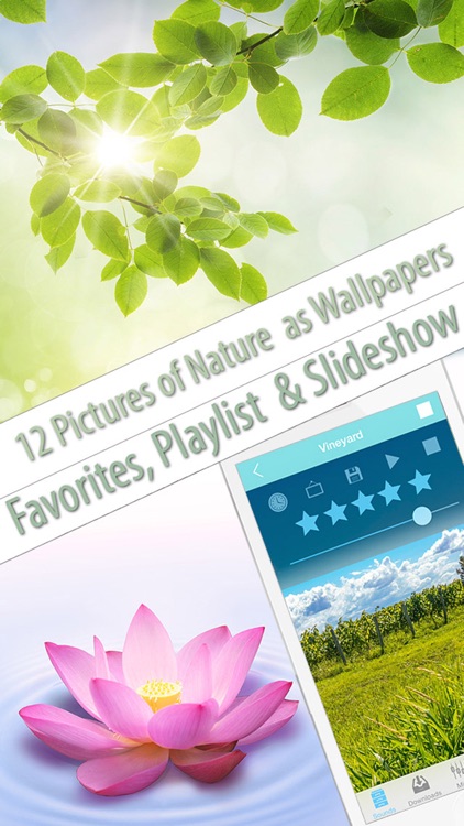 Free Nature Music to Relax, Meditate & Sleep screenshot-3
