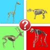 Animals by Skeleton Trivia - Guess the Creature