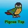 Pigeon Tap Free