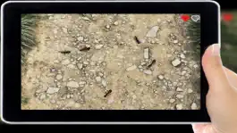 Game screenshot Tap Ant Fast Time apk