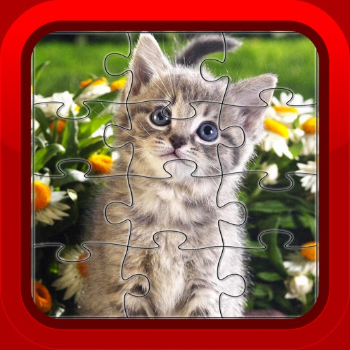 Kitten Cat Fun Jigsaw Puzzles Games for Kids and Toddlers Free Icon