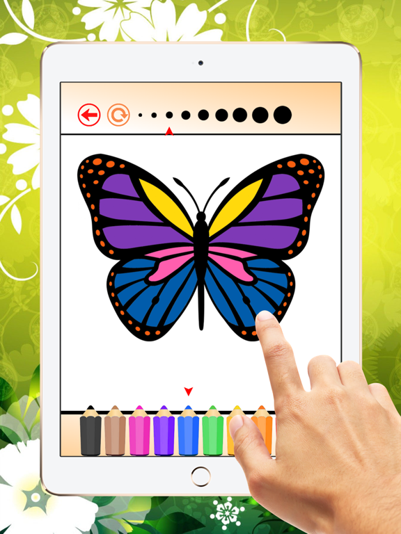Coloring Book Insect and Arachnid: Learn to paint and color a bee, spider and more iPad screenshot